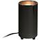 Pro Track Black 6 1/2"H BR20 LED Mini Can Accent Spot Light