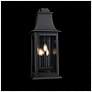 3_Proctor 25.13"H x 9.63"W 3-Light Outdoor Wall Light in Oil Rubbed Bronze more views