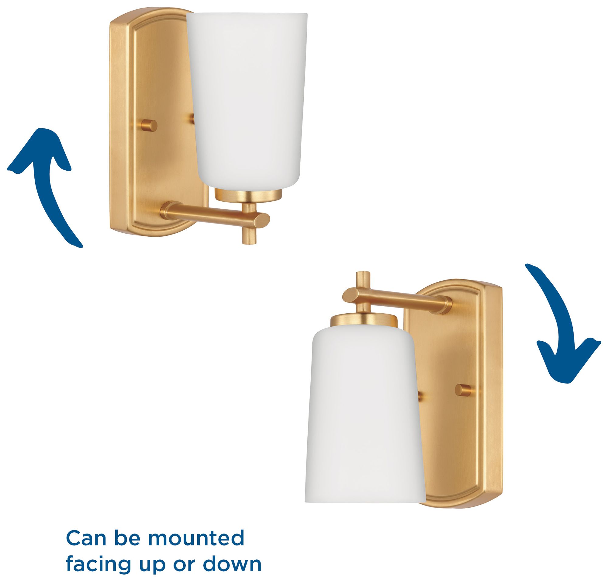 Progress Lighting Adley 1-Light Etched Opal Glass Vanity Light