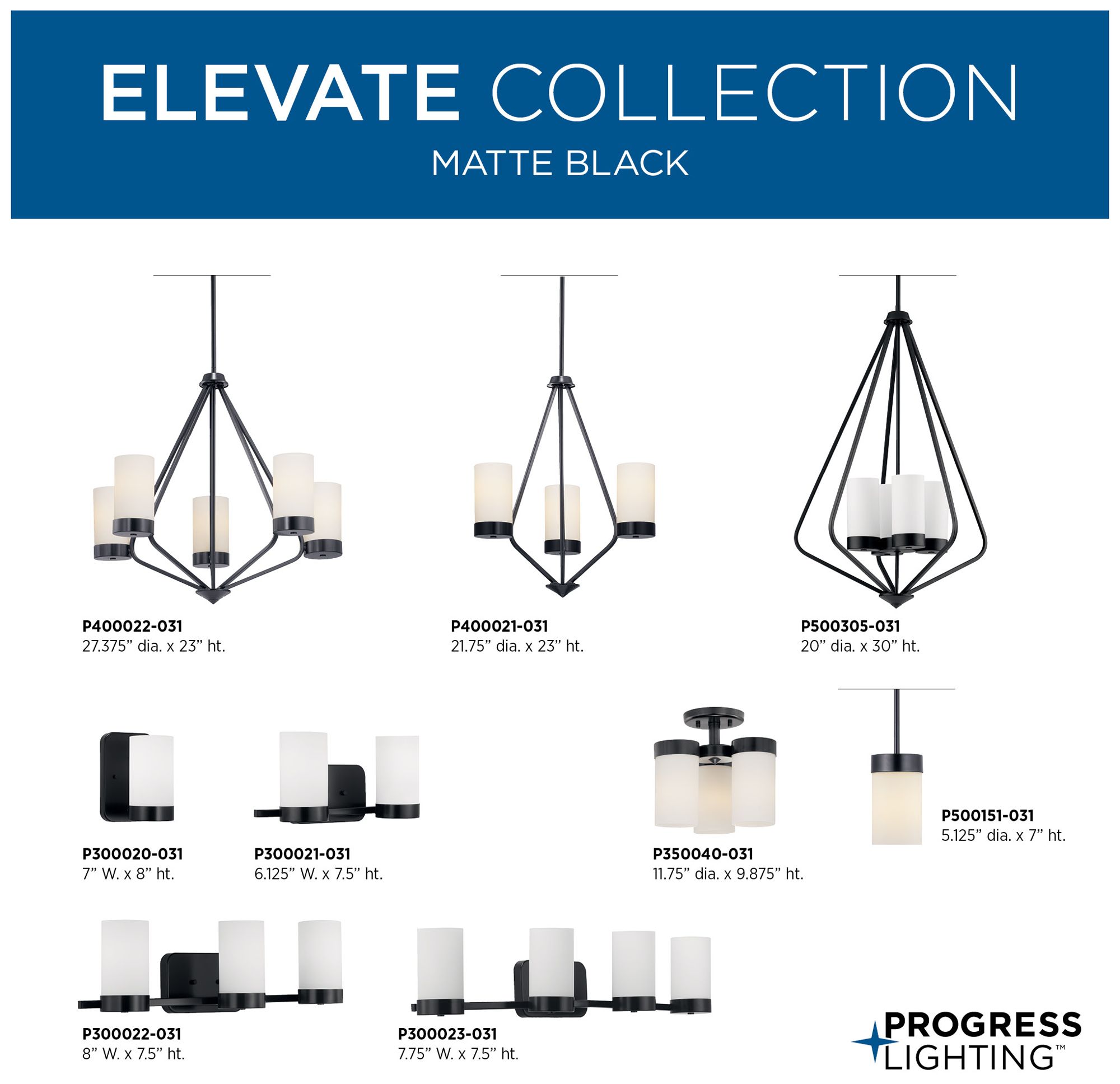 Progress Lighting Elevate 1-Light Etched Glass Vanity Light