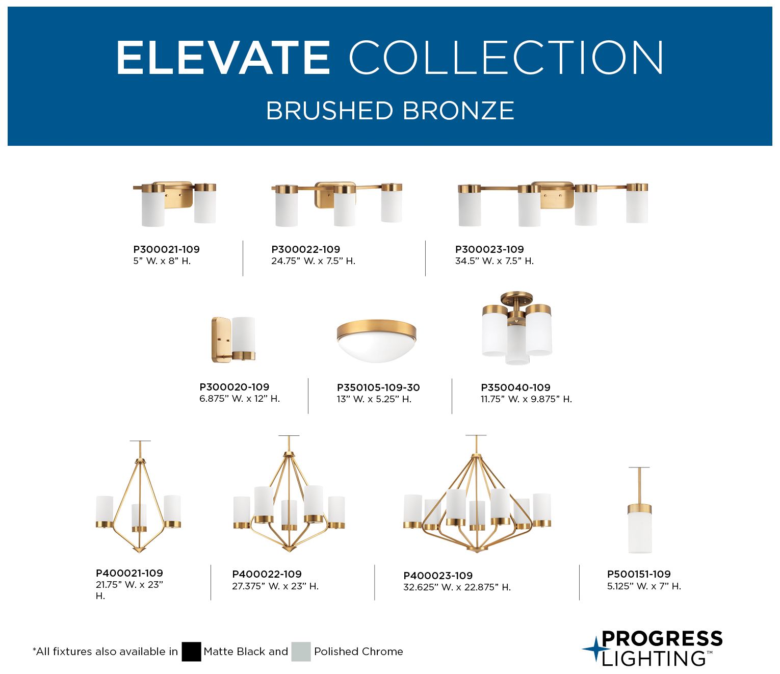 Progress Lighting Elevate 2-Light Etched Glass Vanity Light