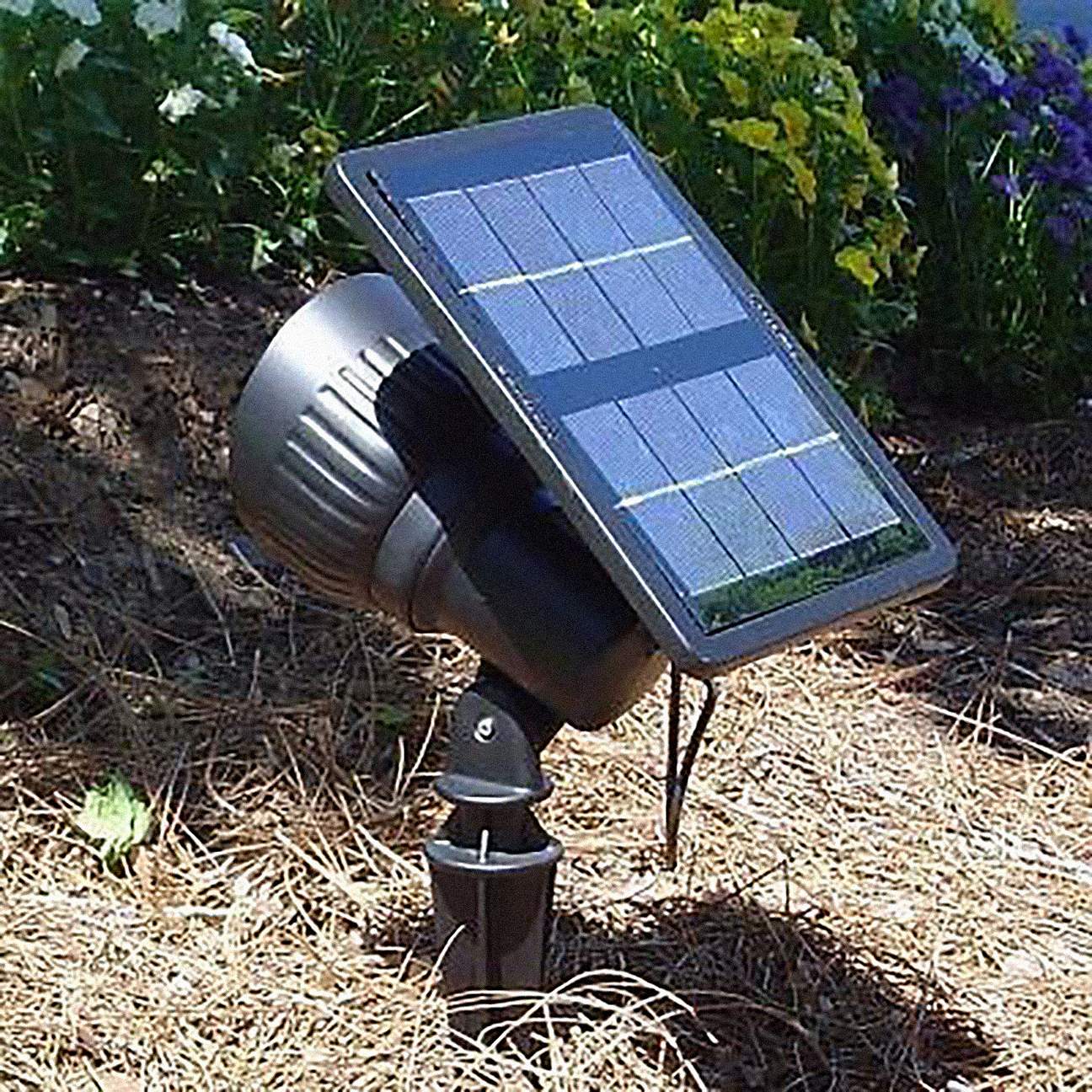 Progressive Solar Powered LED Spotlight or Floodlight - #T9709 | Lamps Plus