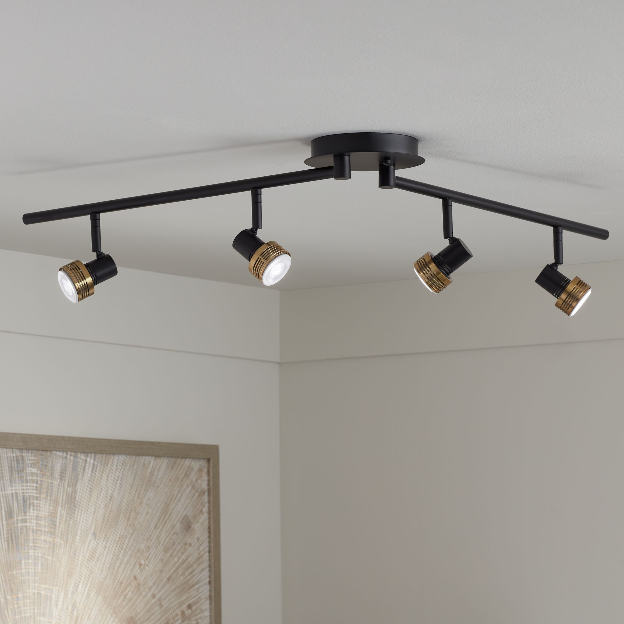 Watch a Video About the ProTrack 6.5W 4-Light Black and Gold LED Track Fixture
