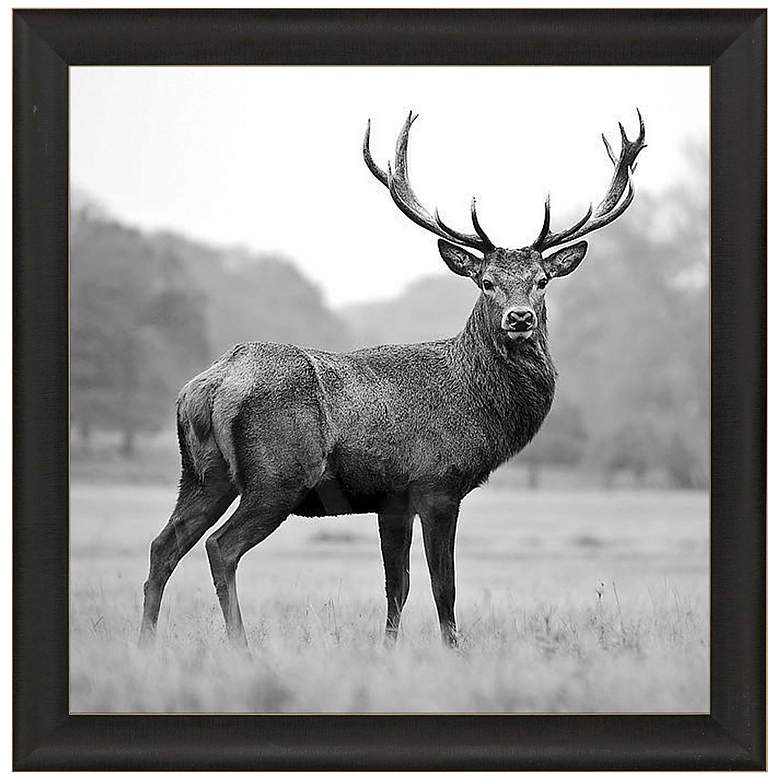 Image 3 Proud Deer 35 inch Square Giclee Framed Wall Art