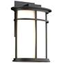 Province 12.2" High Coastal Black Outdoor Sconce With Opal Glass Shade