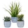 2_Puebla Greenery 3-Piece Decorative Grass in Planter Set