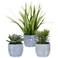 Puebla Greenery 3-Piece Decorative Grass in Planter Set