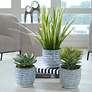 1_Puebla Greenery 3-Piece Decorative Grass in Planter Set