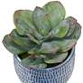 3_Puebla Greenery 3-Piece Decorative Grass in Planter Set more views