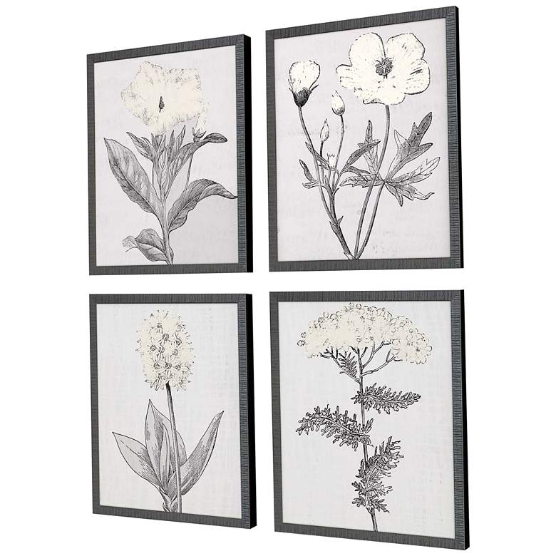 Image 5 Pure Garden 22" High 4-Piece Giclee Framed Wall Art Set more views