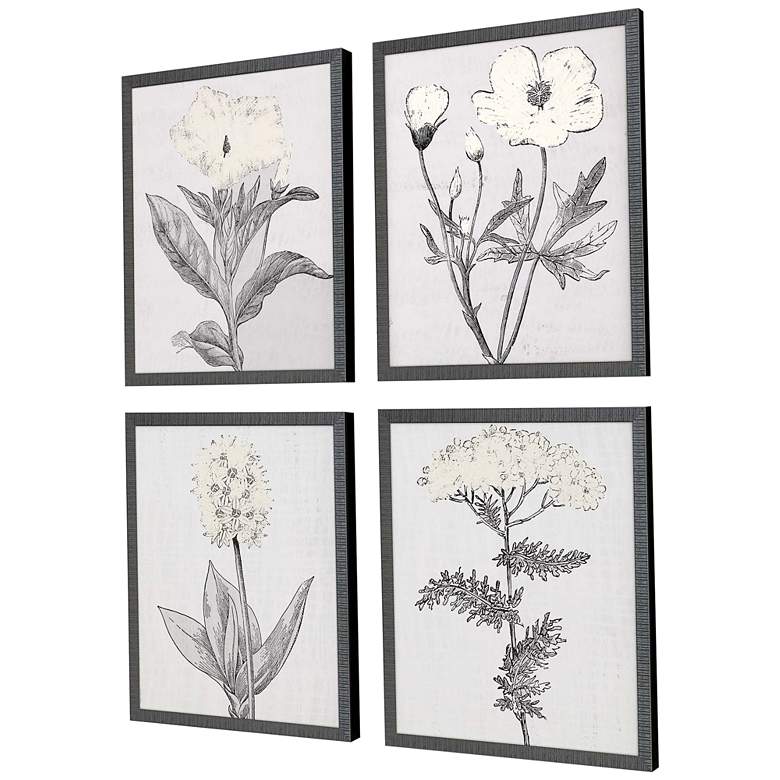 Image 5 Pure Garden 22 inch High 4-Piece Giclee Framed Wall Art Set more views