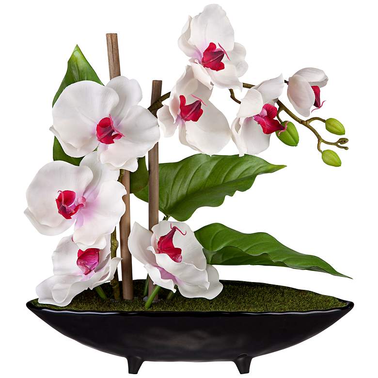 Image 1 Purple and White Orchids in a Black Ceramic Pot