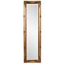 Queen Ann Antique Gold 18" x 66" Floor Standing Mirror