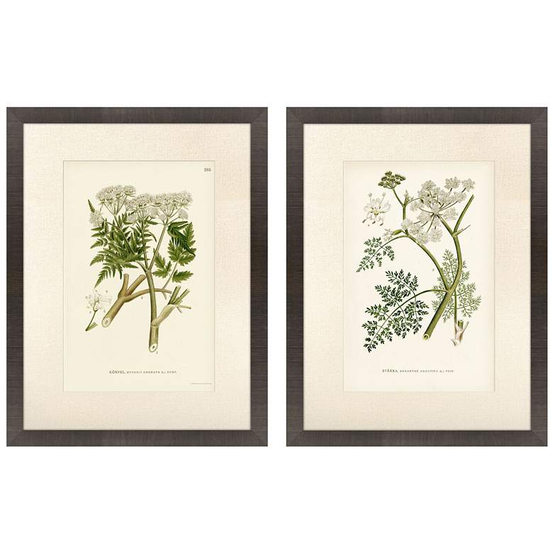 Image 1 Queen's Lace I 20"W x 26"H Framed Wall Art Set of 2