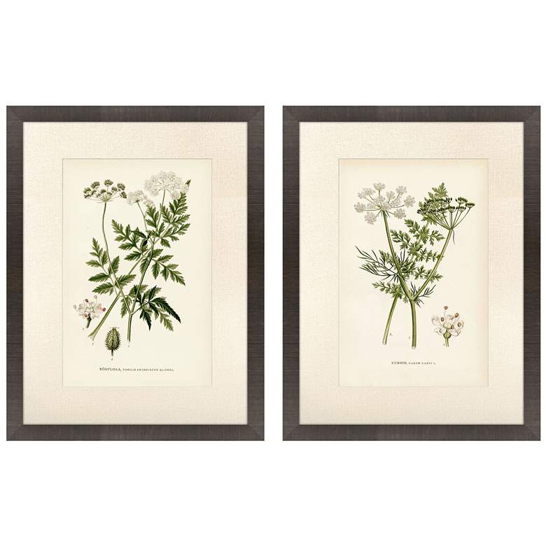 Image 1 Queen's Lace II 20"W x 26"H Framed Wall Art Set of 2