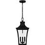 3_Quentin 4-Light Earth Black Mini Pendant more views