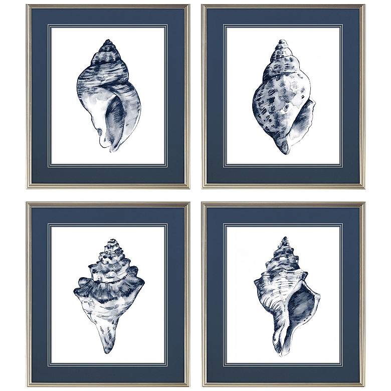 Image 1 Quiet Conch 23"W x 27"H Framed Art Set of 4