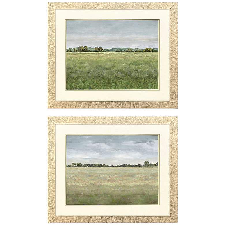 Image 1 Quiet Meadow I 34"W x 28"H Framed Art - Set of 2