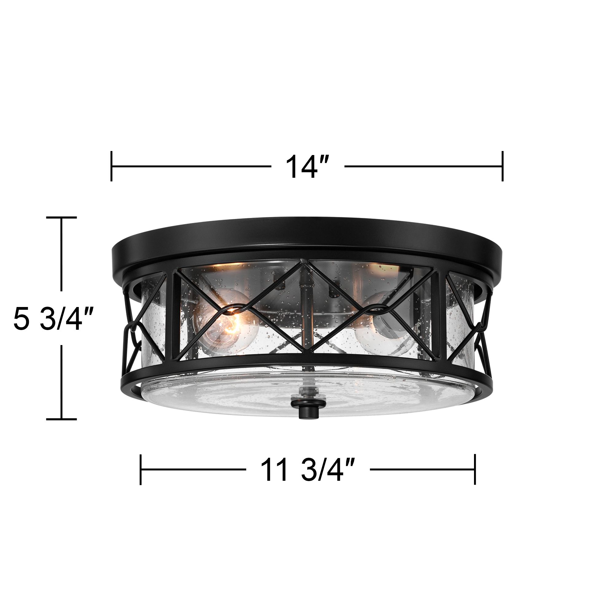 Quincy 14" Wide Black Round 2-Light Ceiling Light