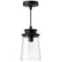 Quincy 6-in 1 Light Clear Glass/Black Outdoor Pendant 60W Alora Mood