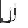 5_Quoizel Abner 18" Wide Matte Black 5-Light Candelabra Chandelier more views