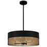Quoizel Alani 20" Wide Matte Black and Brass Drum Pendant Light
