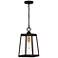 Quoizel Amberly Grove 8 1/2" Wide Western Bronze Outdoor Hanging Light