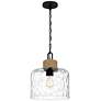 2_Quoizel Baltic 12" Wide Matte Black Clear Glass and Rope Mini Pendant