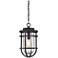 Quoizel Boardwalk 18 1/4" Wide Black Outdoor Hanging Light