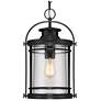 2_Quoizel Booker 17 3/4"H Mystic Black Outdoor Hanging Light more views