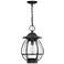 Quoizel Boston 17 3/4"H Mottled Black Outdoor Hanging Light