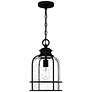 1_Quoizel Bowles 16 1/4"H Earth Black Outdoor Hanging Light
