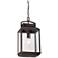 Quoizel Byron Imperial 20"H Bronze Outdoor Hanging Lantern