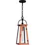 2_Quoizel Carolina 19 3/4"H Aged Copper Outdoor Hanging Light more views