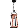 4_Quoizel Carolina 19 3/4"H Aged Copper Outdoor Hanging Light more views