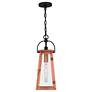 3_Quoizel Carolina 7" Wide Aged Copper Mini Lantern Pendant more views
