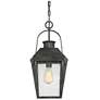 4_Quoizel Carriage 21 1/4" High Black Outdoor Hanging Light more views