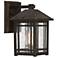 Quoizel Cedar Point 9 3/4" High Palladian Bronze Outdoor Wall Light