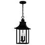 2_Quoizel Chancellor 10" Wide Mystic Black 3-Light Pendant more views