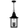 3_Quoizel Chancellor 10" Wide Mystic Black 3-Light Pendant more views
