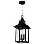 4_Quoizel Chancellor 10" Wide Mystic Black 3-Light Pendant more views