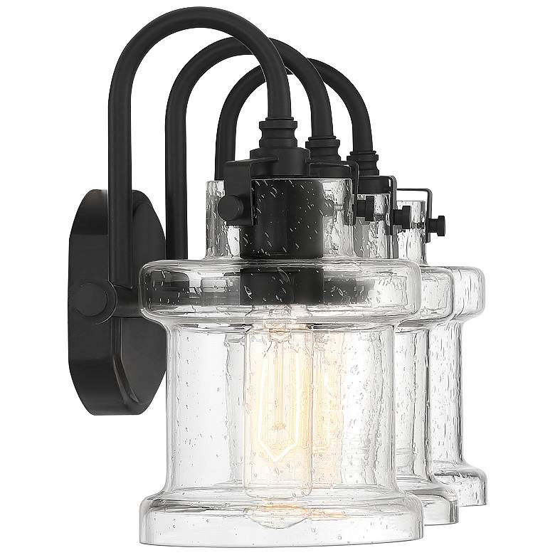 Image 3 Quoizel Danbury 24" Wide Earth Black 3-Light Bath Light more views