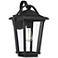 Quoizel Darius 18 1/4" High Earth Black Outdoor Wall Light