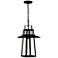 Quoizel Devonport 21 3/4" High Matte Black Outdoor Hanging Light