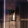 Quoizel Donegal 14 3/4" High Matte Black Outdoor Wall Lantern in scene