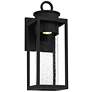 3_Quoizel Donegal 18 3/4" High Matte Black Outdoor Wall Lantern
