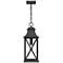 Quoizel Ellerbee 21 1/4" High Mottled Black Outdoor Hanging Light