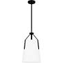 3_Quoizel Faye 11 1/4" Wide Matte Black Mini Pendant more views