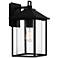 Quoizel Fletcher 14 1/2" High Earth Black Outdoor Wall Light