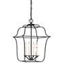 Quoizel Gallery 14" W 4-Light Royal Ebony Cage Chandelier